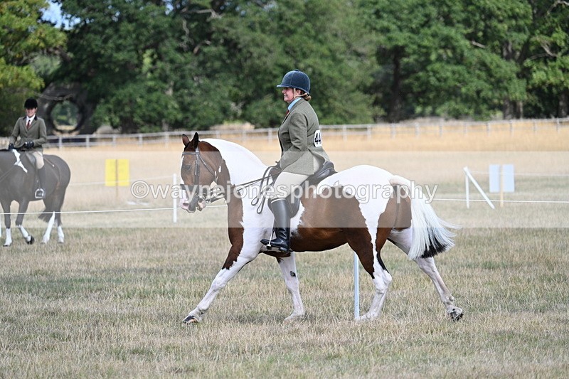 WJ7_7255 - Class 14 Ridden Coloured