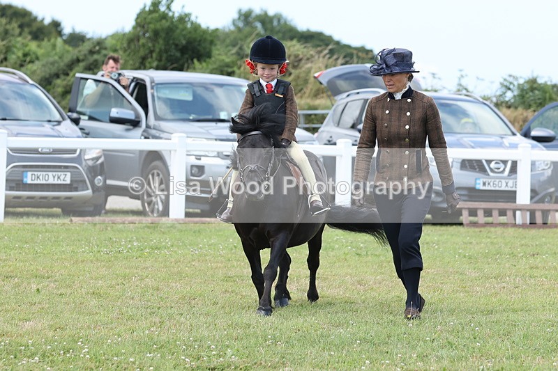JPP_1902 - Class 18: Tiny Tots Working Hunter Pony