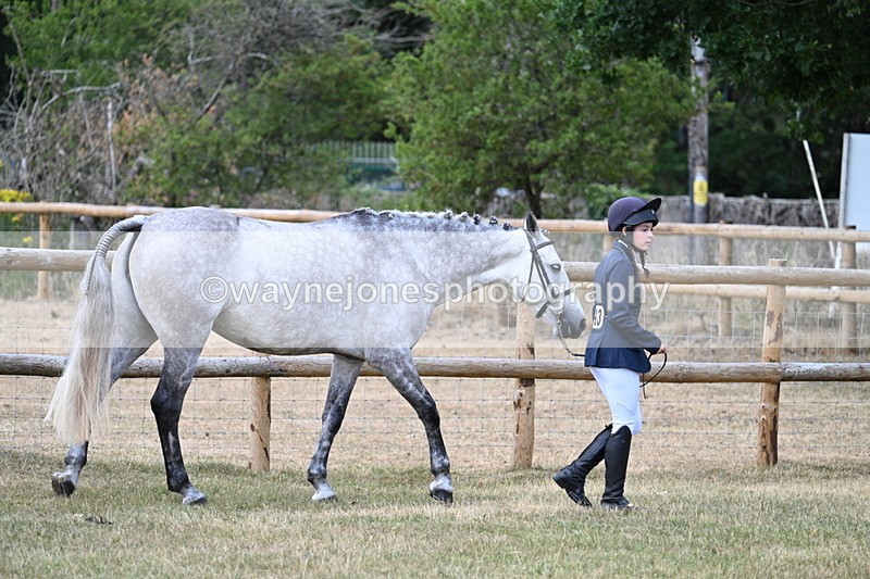WJ7_1815 - Class 4a Prettiest Mare 14.2hh and over hand