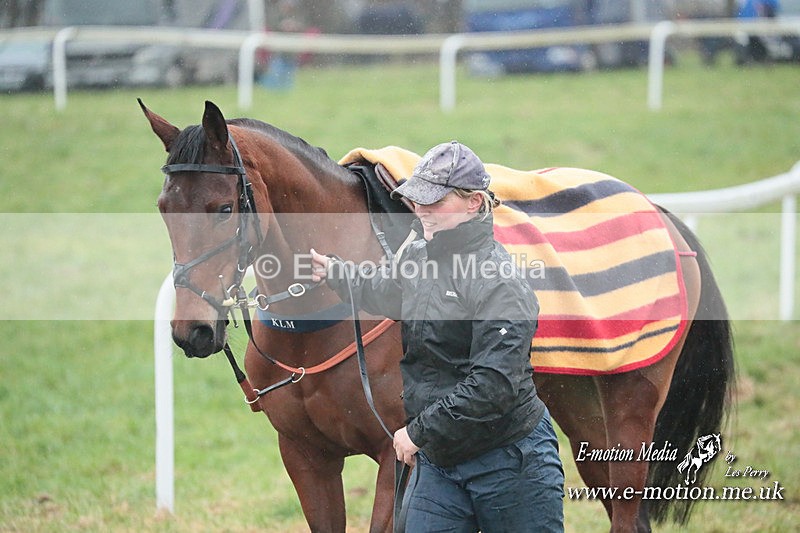 PtP 101223 168 - New Forest Hounds PtP Larkhill 10/12/23