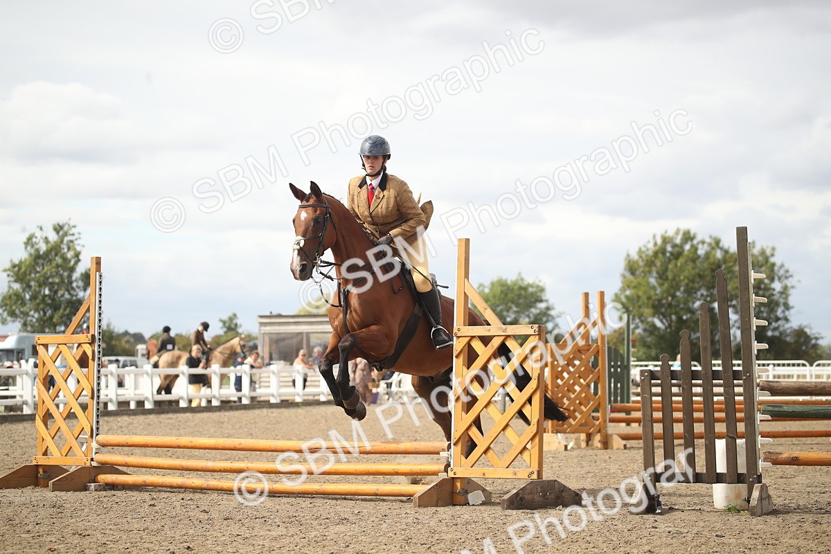 SBM_15308 - Class 506b - Working Veteran - 50cm (20+)