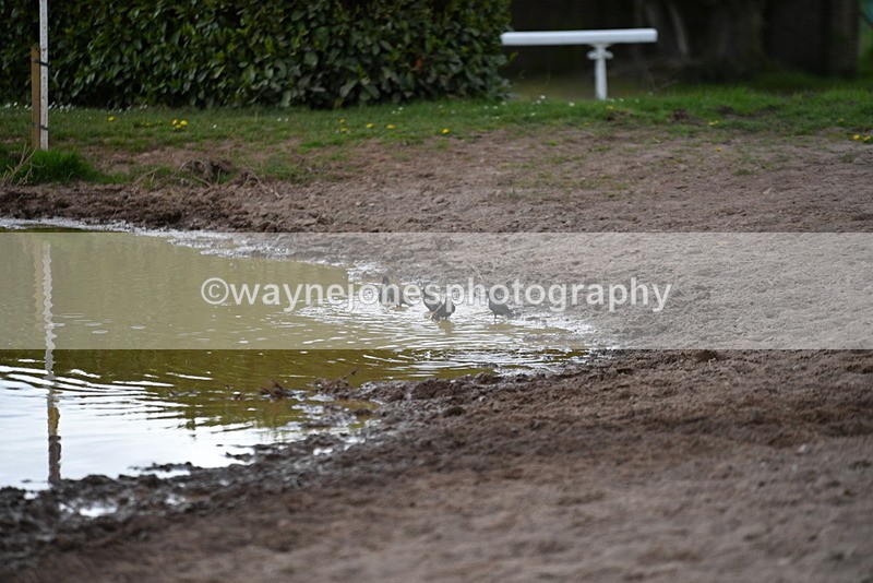 WJ5_3613 - Time 14:19 to 14:53