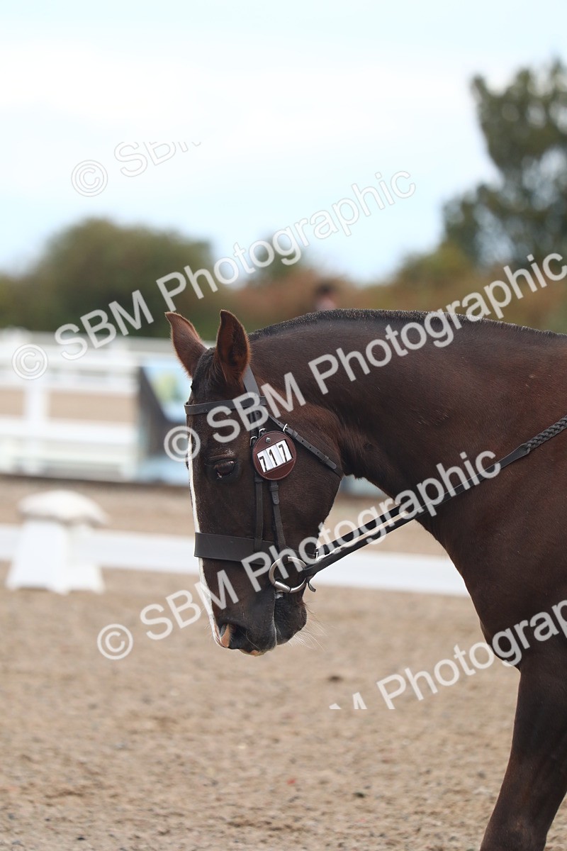 SBM_00149 - Class 34A+B Prelim 3