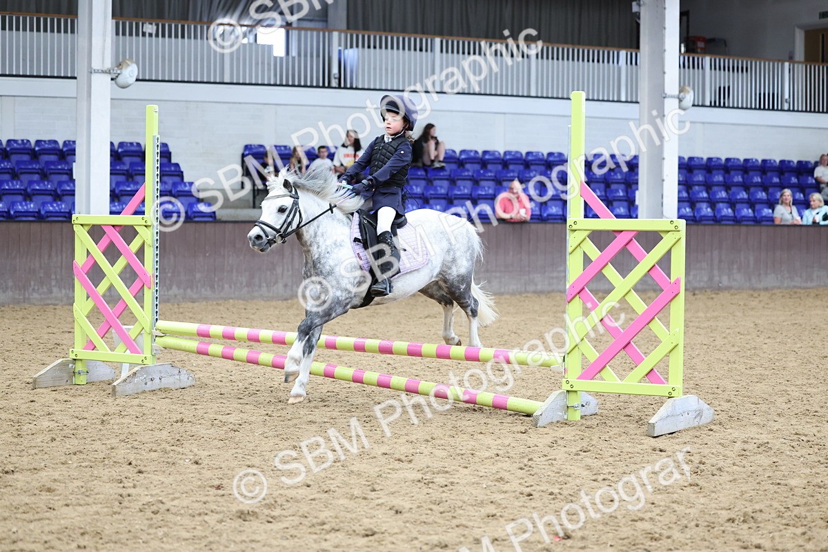 SBM_007382 - Class 2 - 50cm showjumping