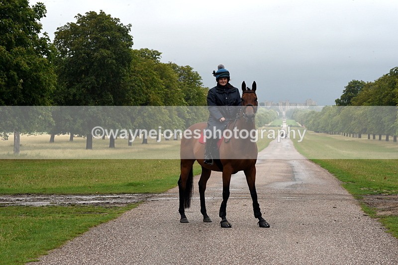 TT3_8330 - Time at Crossing 10:16 to 11:38