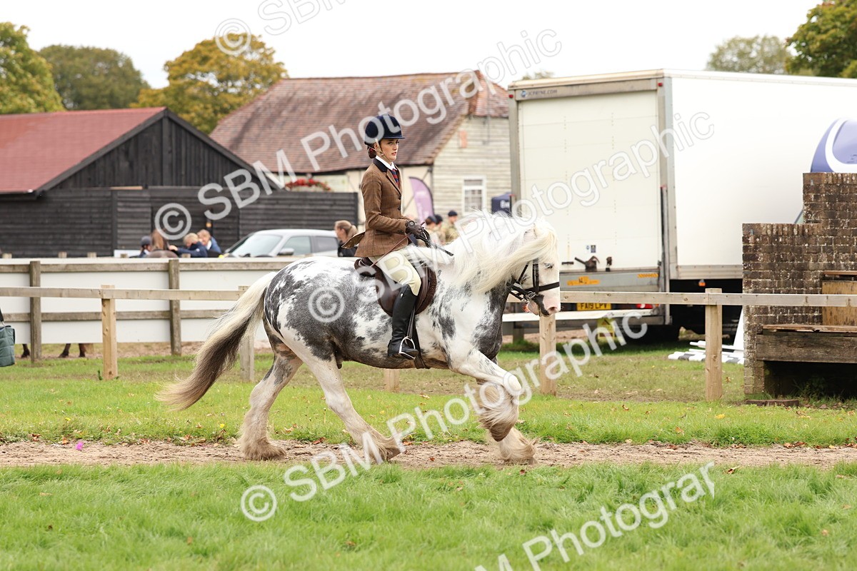 SBM_64441 - S58 - Coloured Pony Ridden