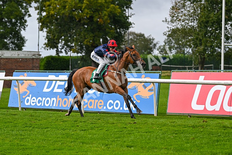 150925-Race 1-Max Of Stars-2202 - Race 1