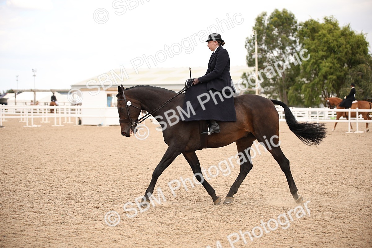SBM_05441 - Class 22 SSA Equitation