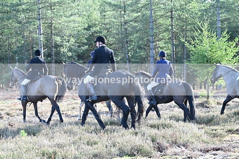 WJ7_7219 - Line 3 (no line 4 or 5)