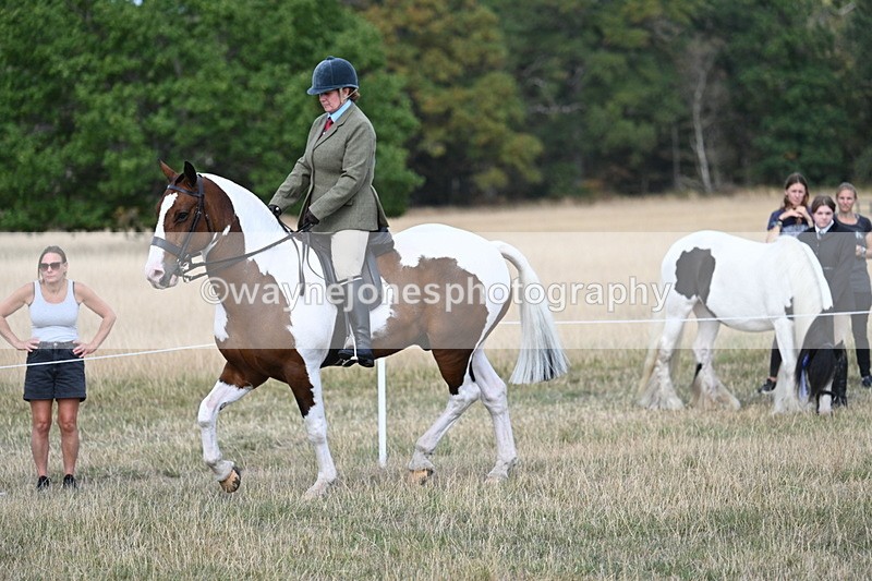 WJ7_7159 - Class 14 Ridden Coloured