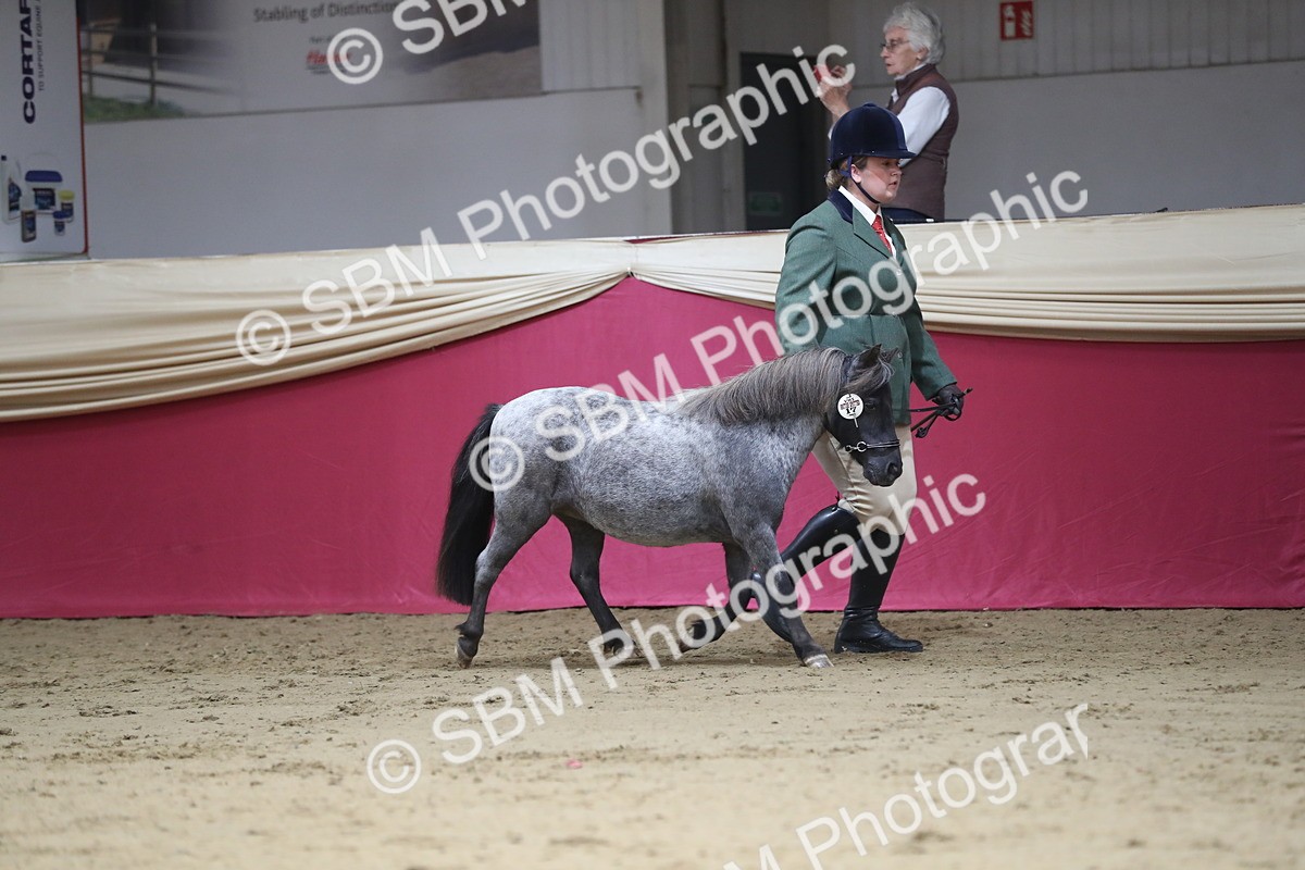 SBM_01296 - Class 3a Area IH Pre Vet