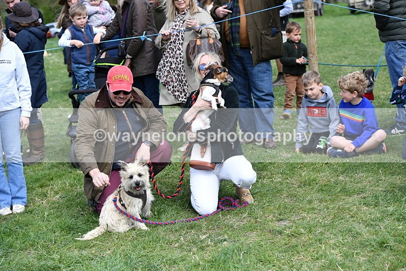WJ5_0534 - Class 7 Best Terrier