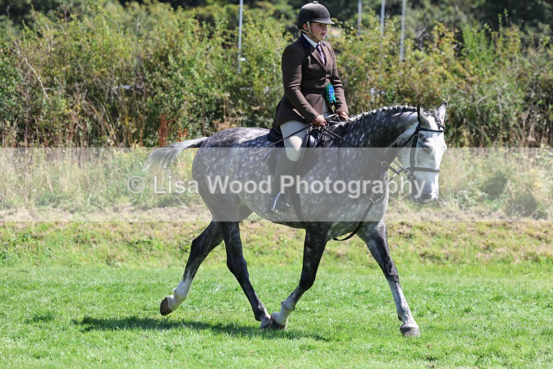 3E7A9176 - Working Hunter Championship