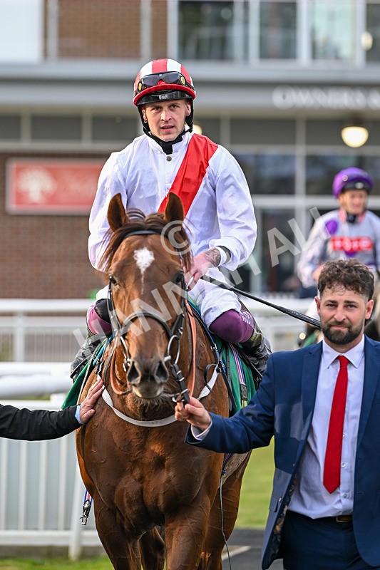 120425-Race 5-Majestic Warrior-1377 - Race 5