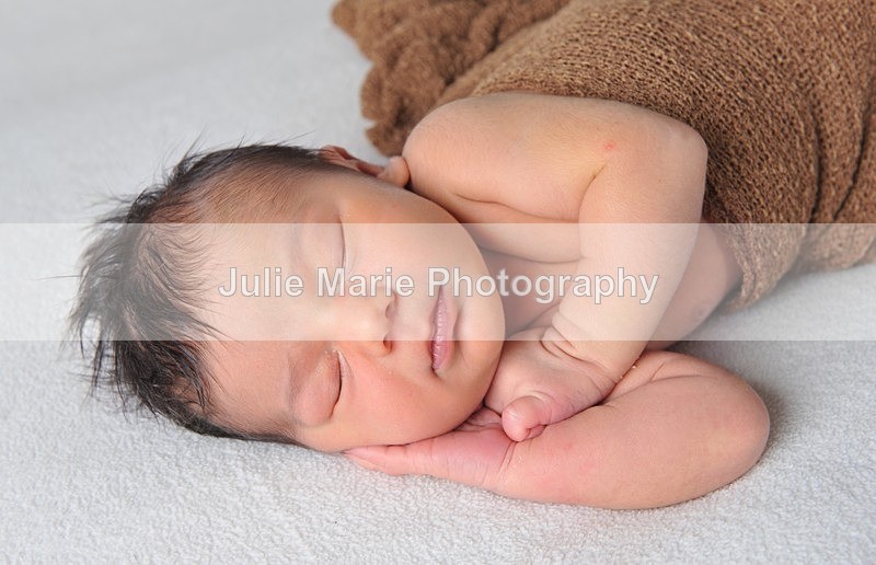 DSC_4900 - Sadie