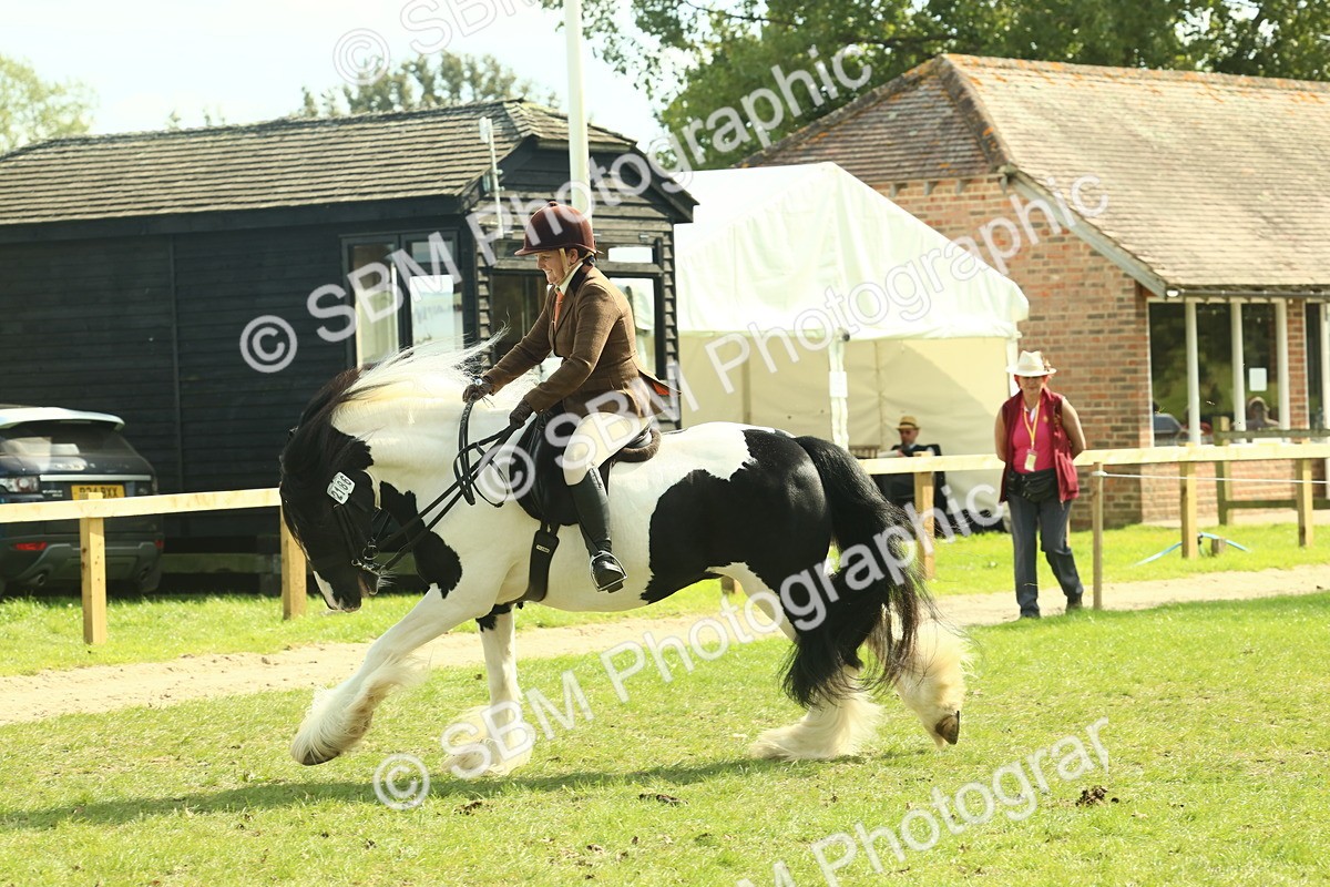 SBM_68795 - S58 - Mini Show Cob Ridden