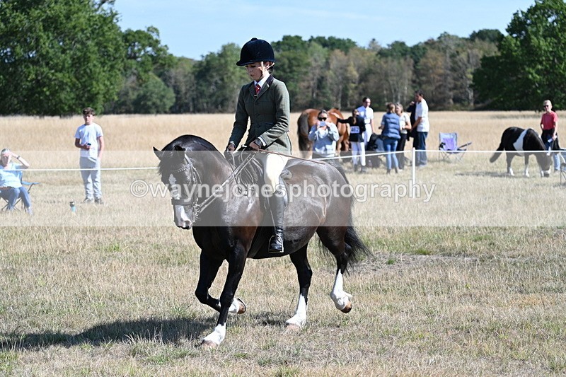 WJ7_3689 - Class 9 Mountain & Moorland Ridden