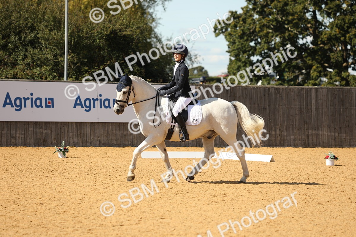 SBM_22345 - D17 - Grand Tour Championship - Novice 27