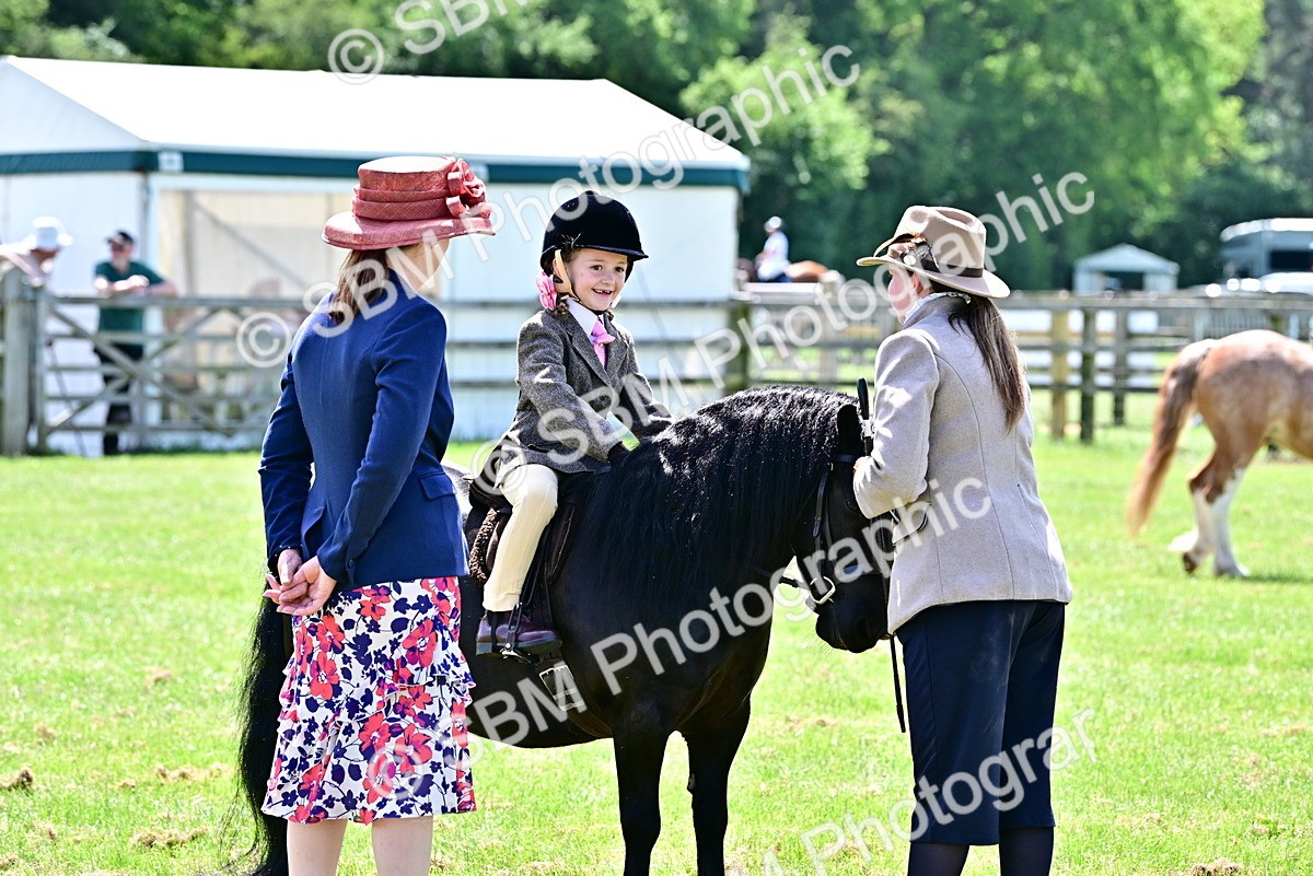 SBM_05856 - Class 59-60 - TSR M&M  Lear Rein and First Ridden Amateur of the year