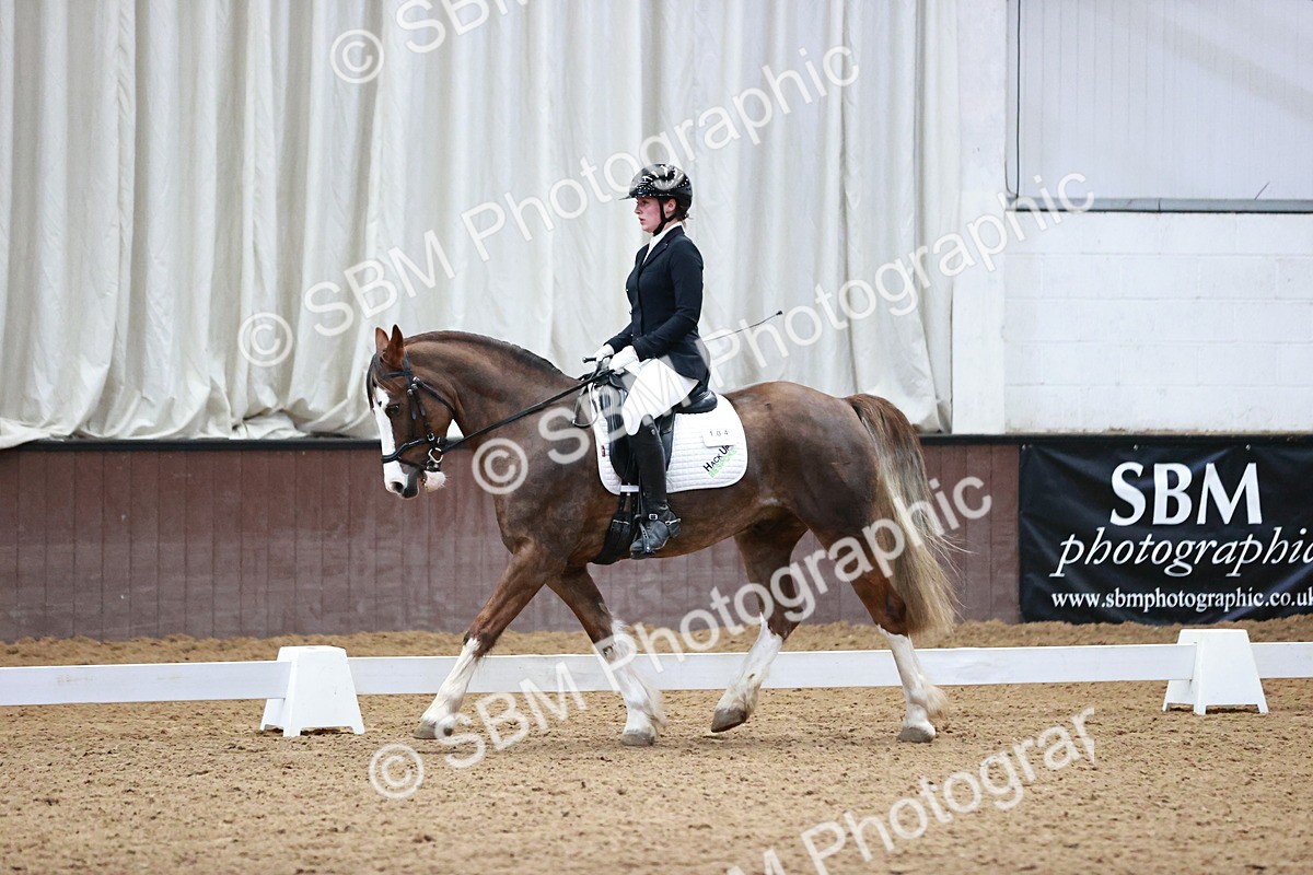 SBM_000136 - Class 3, 4, 8, 10 Intro 3 Prelim 3 Novice 2