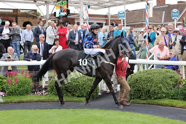 yr18082021r6-4 - Race 6 4.45pm IRE-Incentive It Pays To Buy Irish Stakes