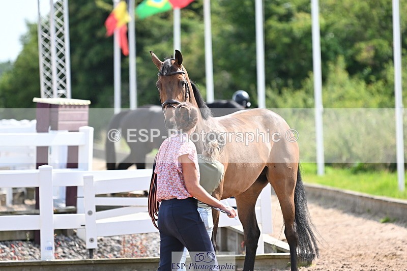 240717A-154852-03068 - Trot Up 3pm to 4pm