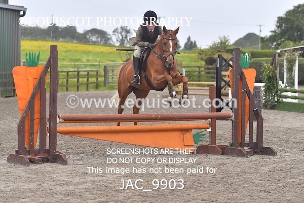 JAC_9903 - CLASS 3 Intermediate Working Hunter (0.70m - 0.85m)