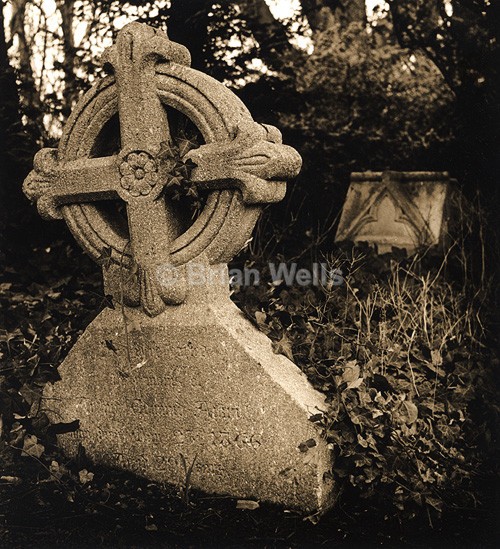Gravestone with Ivy - The Black & White Gallery