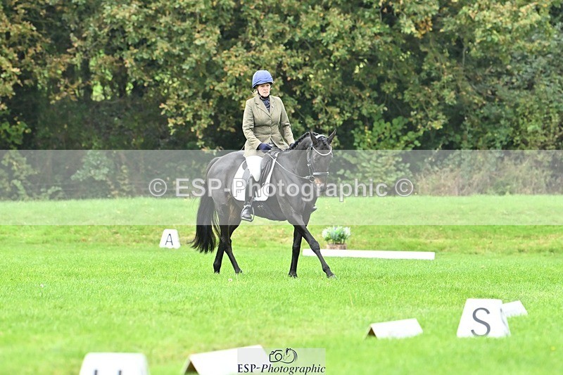 241024-134705-04208 - 329-Lisa.Donner-NOTNOWBABE