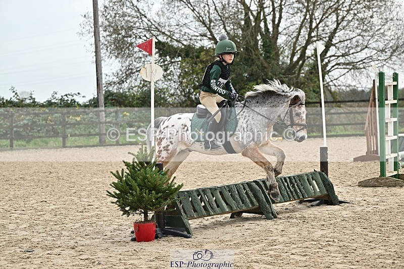 241110-113054-00443 - 50-55cm Arena Eventing