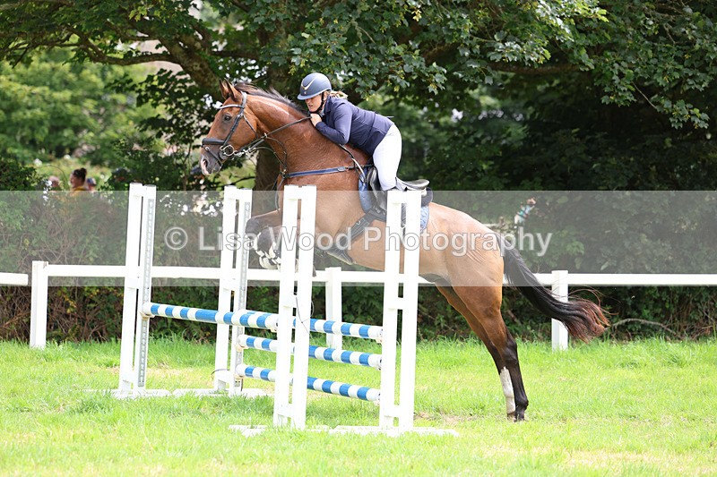 3E7A7310 - Class 5: Senior British Novice/90cm open