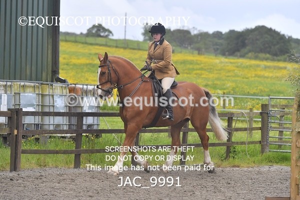 JAC_9991 - CLASS 3 Intermediate Working Hunter (0.70m - 0.85m)