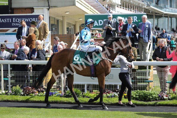 yr12052022r3-3 - Race 3 3.00pm The Paddy Power Hambleton Stakes