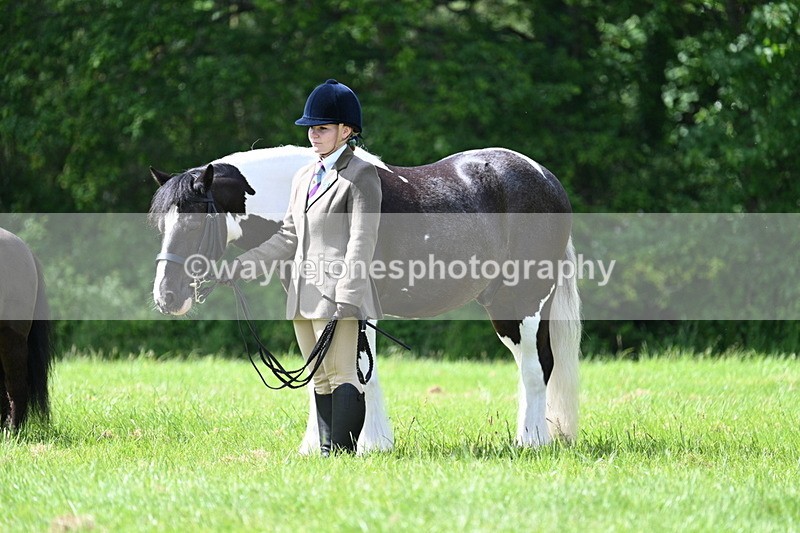 WJ7_1435 - Class 11 Condition & Turnout