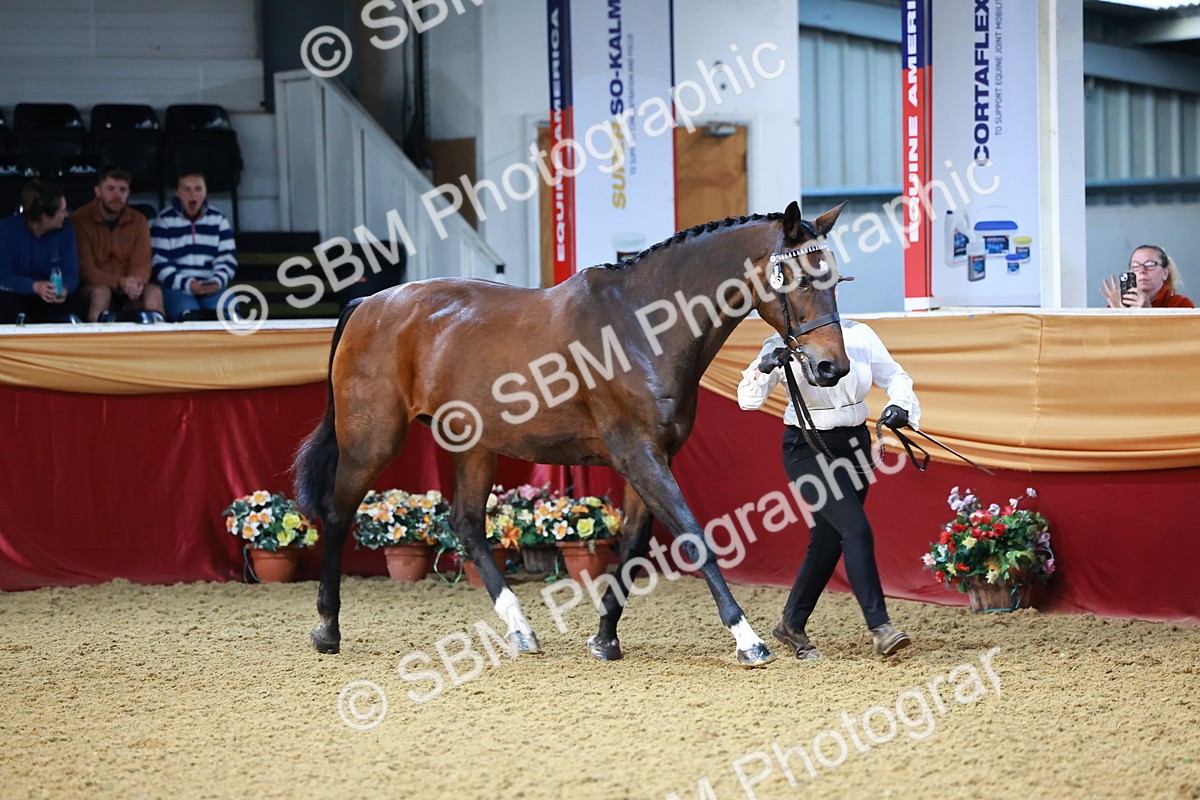 SBM_21714 - Class 901 - Supreme Final - IH  Diamond