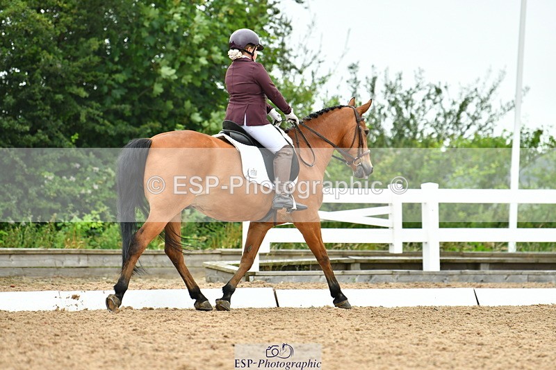 230708A-114319-02599 - Prelim 13