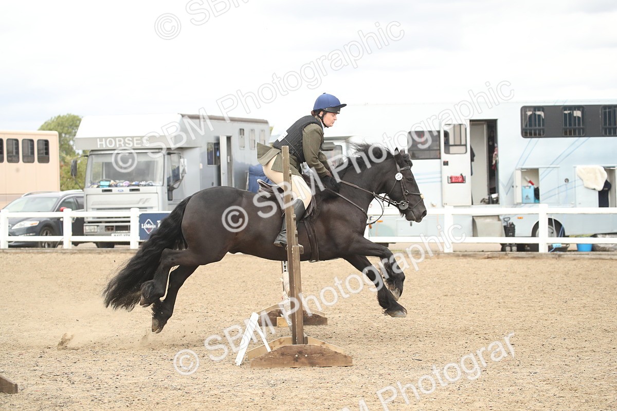 SBM_16641 - Class 507a - Working Veteran - 60cm (15-19)