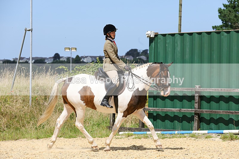 1X9A8771 - Class 19: Riding Club Horse