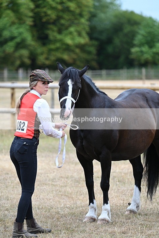 WJ7_8115 - Class 4 Prettiest Mare up to 14.2hh