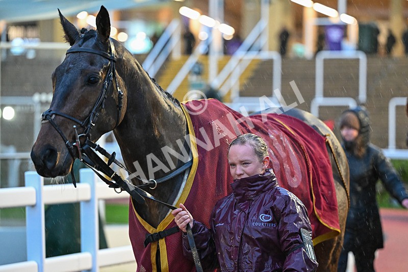 141125-Race 6-The Expensive One-1155 - Race 6