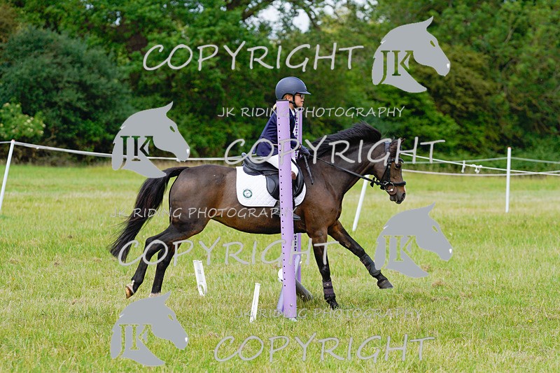 _DSC4905 - CLASS 7 HORSE & HOUND RING 2