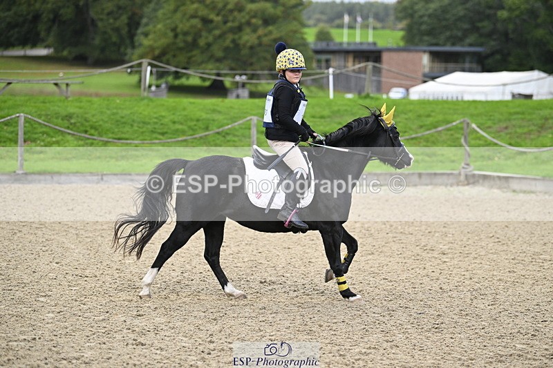 251005A-082237-02760 - Cls 01 GR 40cm