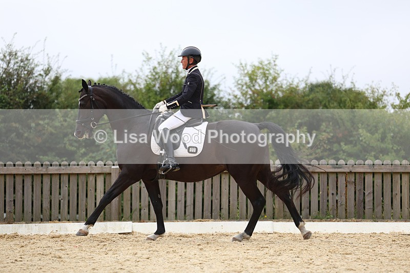 3E7A7272 - Class 9: Elementary 4 2024 - No sections