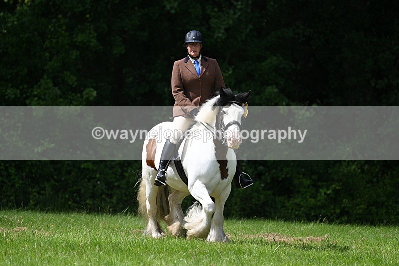 WJ7_1612 - Class 11 Condition & Turnout