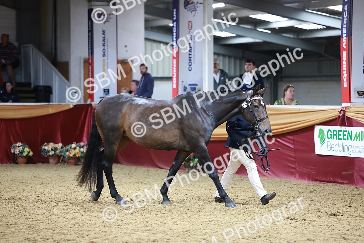 SBM_20089 - Class C - Novalty Champ