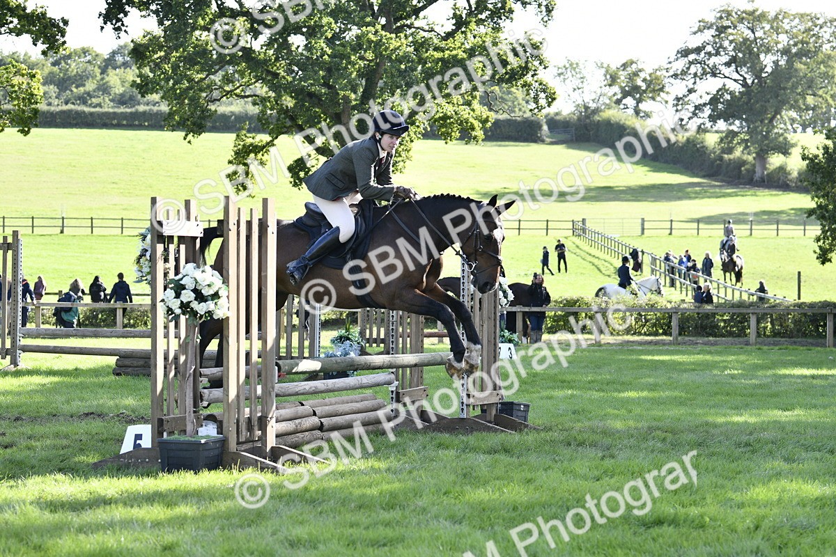 SBM_50056 - S34 - Novice & Newcomers Working Hunter