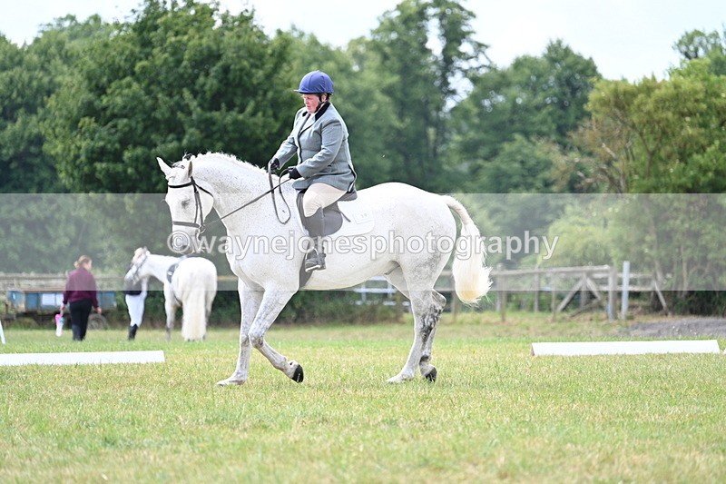 WJ7_5003 - Time 11:22 to 11:51