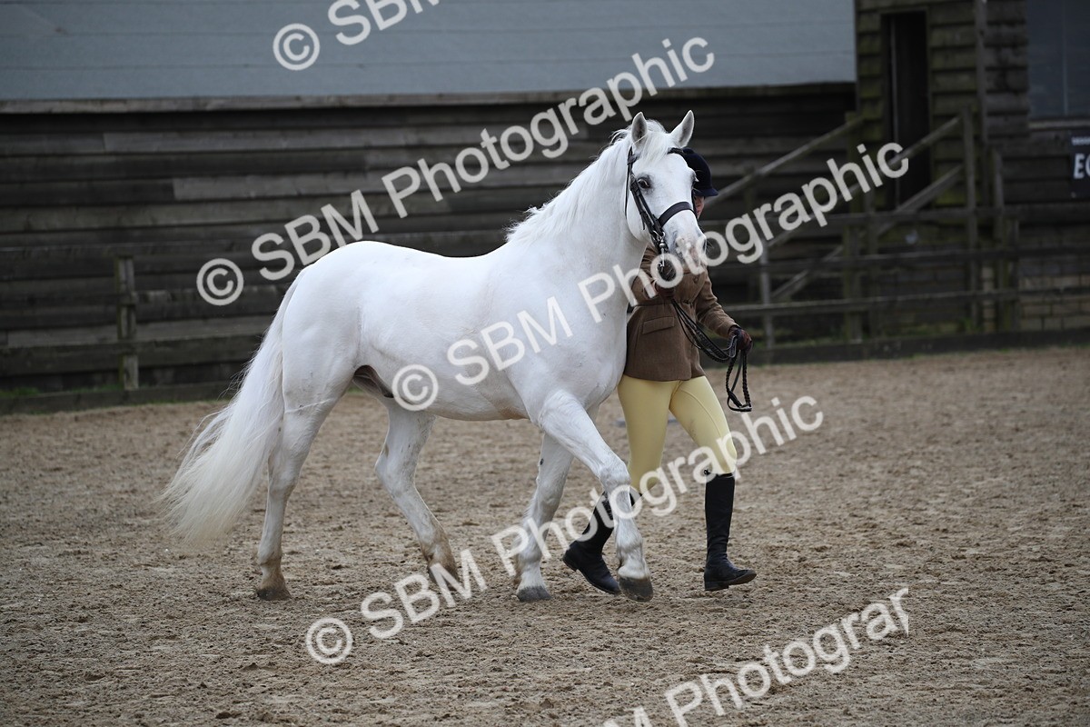 SBM_006173