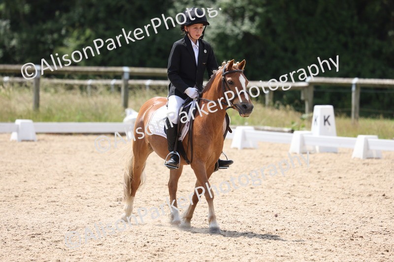 20250614-0601 - Class 5 - Novice 3