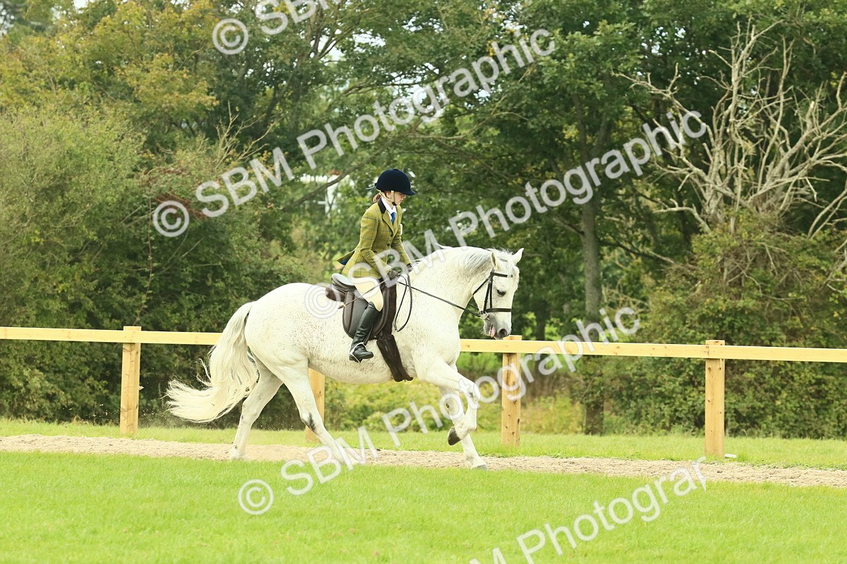 SBM_71893 - S60 - Mountain & Moorland Ridden Large Breeds